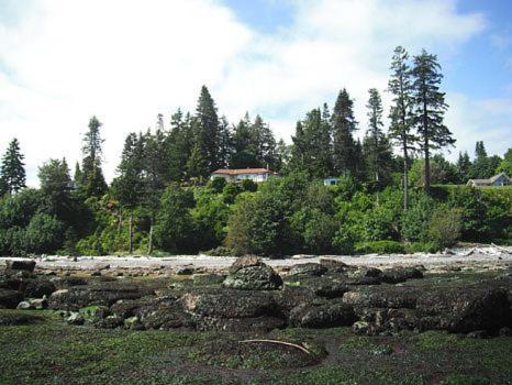 Edgewater Motel Campbell River Ngoại thất bức ảnh