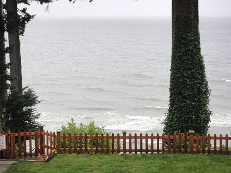 Edgewater Motel Campbell River Ngoại thất bức ảnh