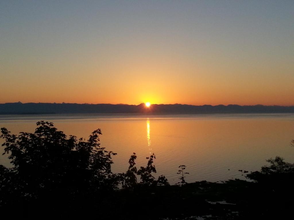 Edgewater Motel Campbell River Ngoại thất bức ảnh
